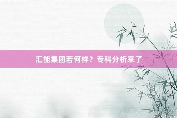 汇能集团若何样？专科分析来了
